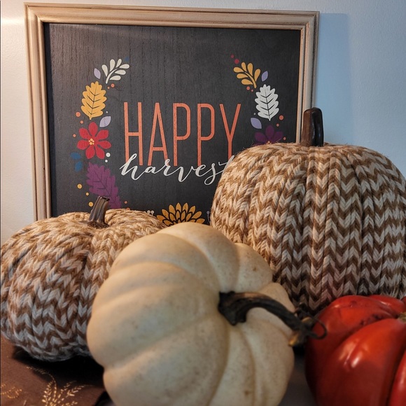 2 for $6 Fall Decor, Threshold Brand, Braided Texture Pumpkins - Picture 3 of 11